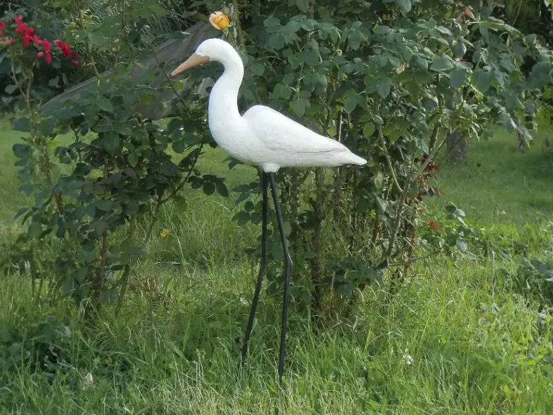 IBIS, 2003